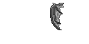 A modified Minecraft Elytra texture that resembles a wing.